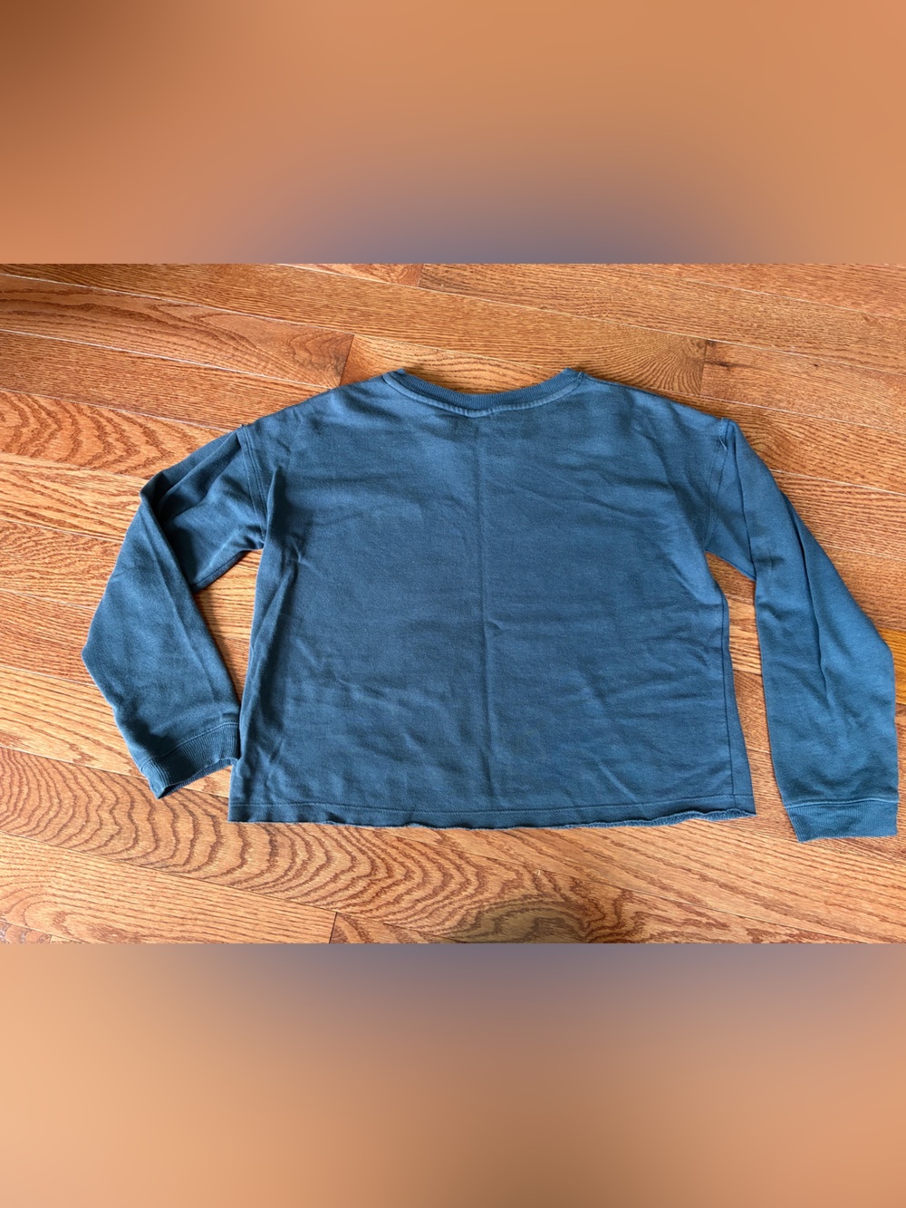 art class Blue 'Upstate NY' Graphic crewneck sweatshirt - girls XL 14/16 - Picture 2 of 6